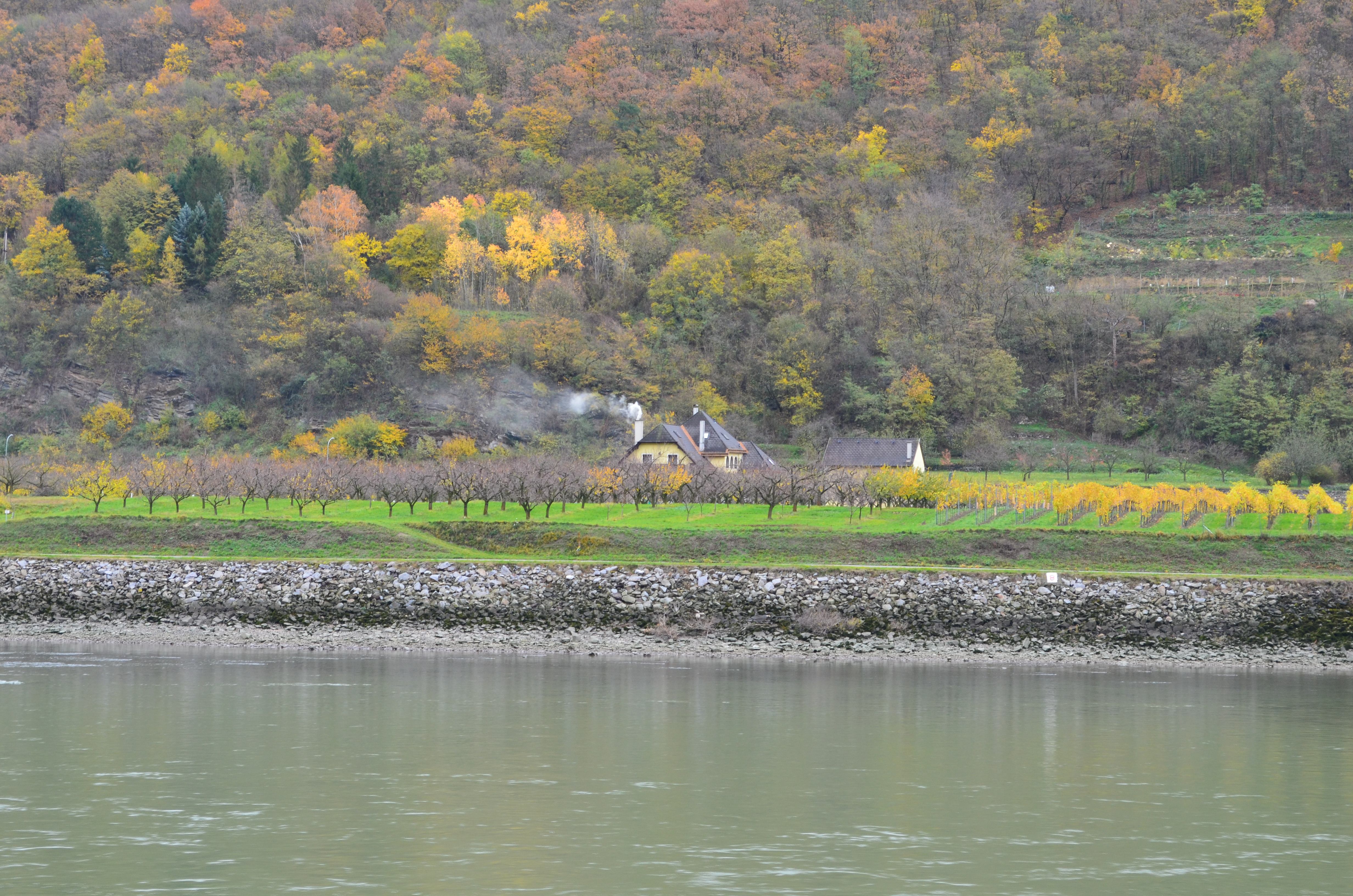 ./2017/19 - Viking Lif/03 - Melk, Austria/DSC_0875.JPG